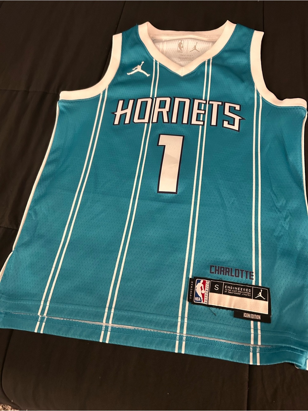 Kids Youth Small LaMelo Ball Charlotte Hornets Icon Edition Swingman Jersey Nike